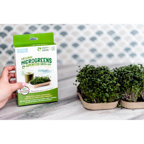 Microgreens countertop garden kit Grow Your Own Superfood radish kale etc. Briccoli