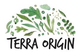 Terra Origin logo