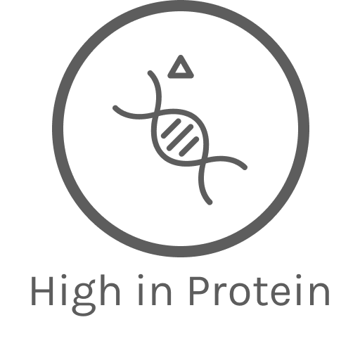 High In Protein