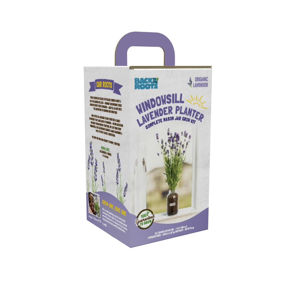 Back to the Roots Windowsill Lavender Planter