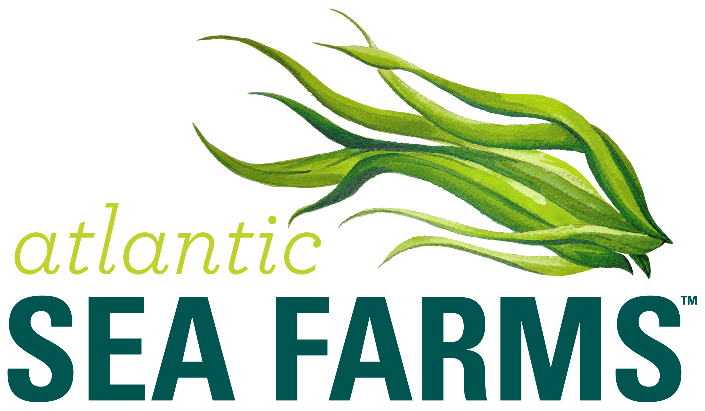 Atlantic Sea Farms logo