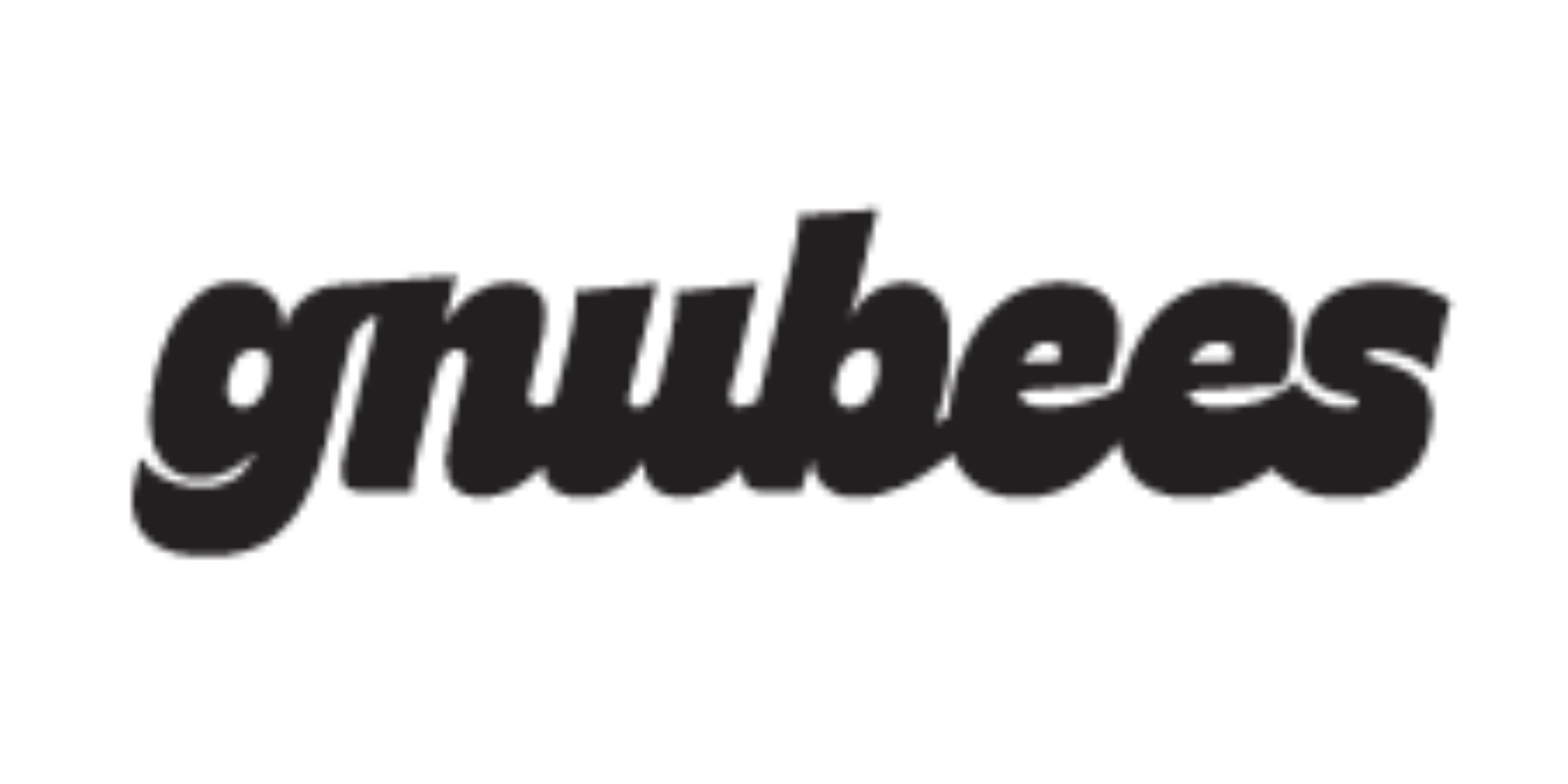 GnuSanté logo