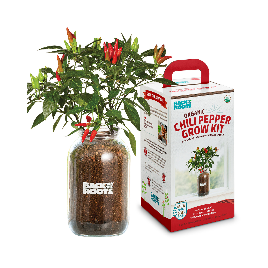 Back to the Roots Organic Chili Grow Kit