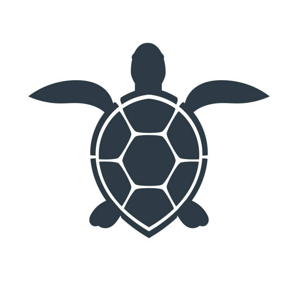 Seychelles' Secret logo