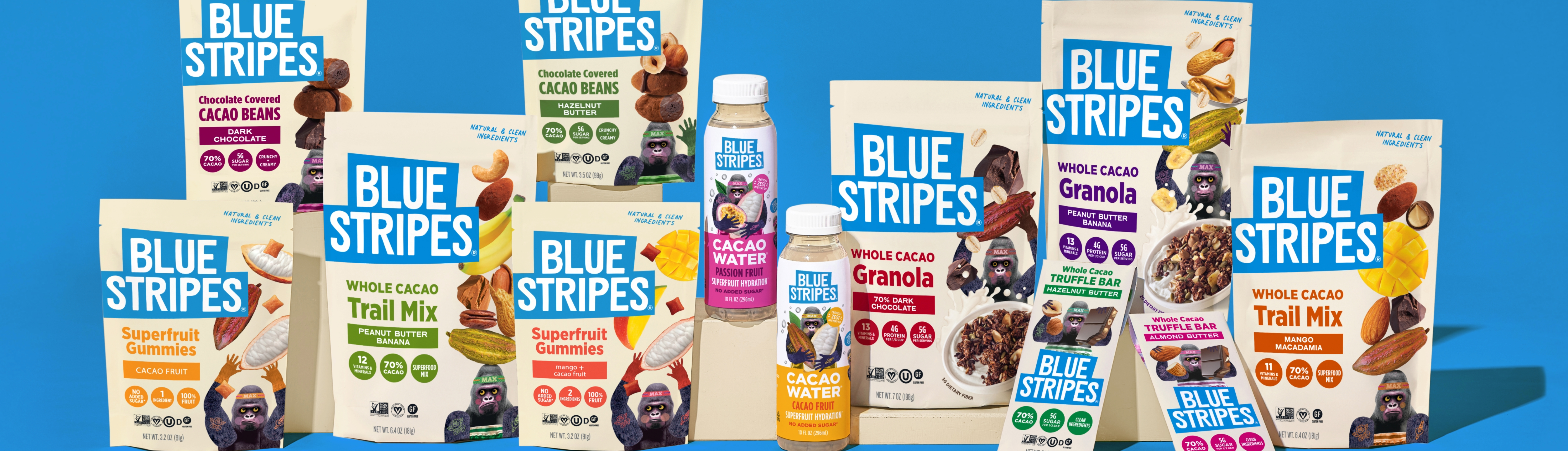Blue Stripes banner