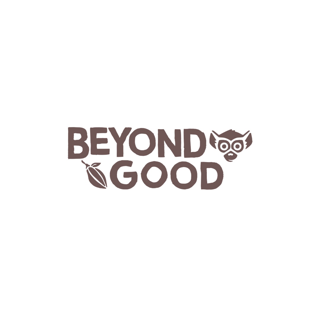 Beyond Good logo